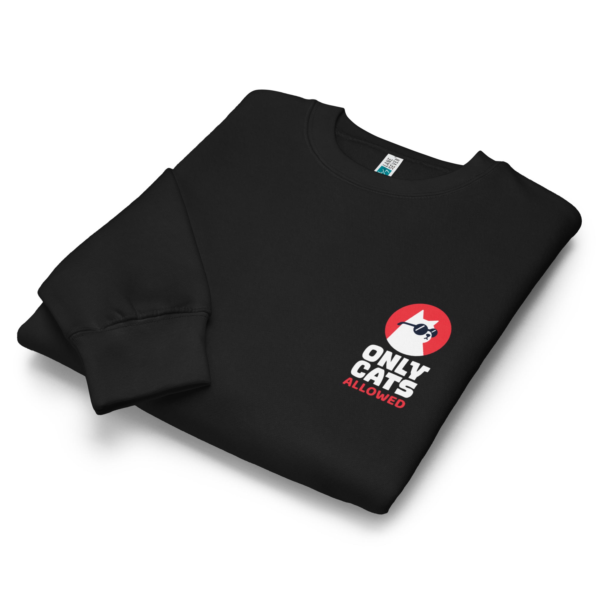 unisex-premium-crew-neck-sweatshirt-black-front-683f3abfa8a54.jpg
